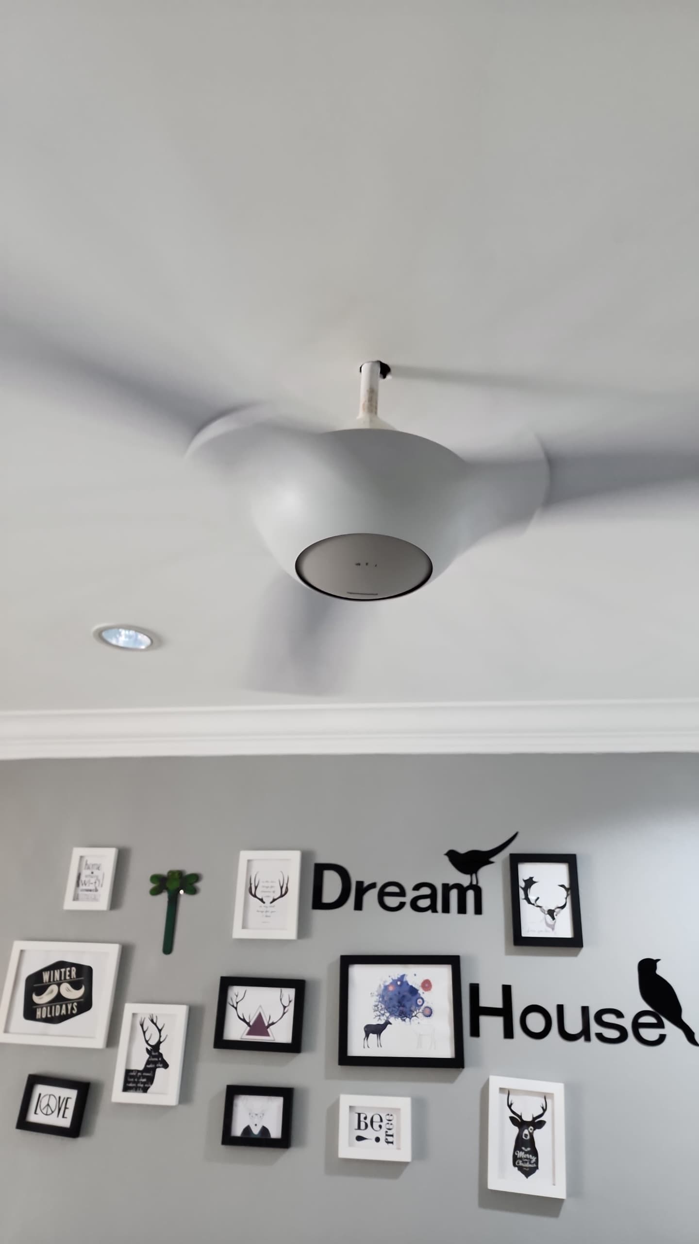 fan-pic